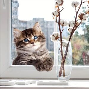 Cute Kitten Cat Window Decal Adorable Peekaboo Kitty Wall Sticker Home Decor